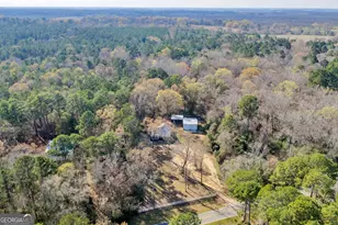 418 Flintside Dr, Cobb, GA 31735 - Photo 38