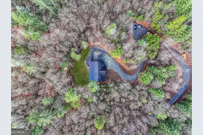 641 Bryant Farm Lane, Ellijay, GA 30540 - Photo 60