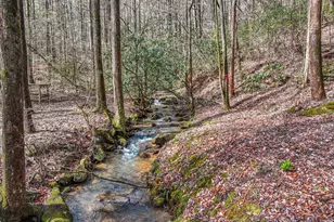 641 Bryant Farm Ln, Ellijay, GA 30540 - Photo 2