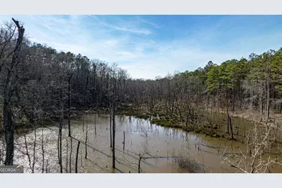 342 Norris Road, Barnesville, GA 30204 - Photo 32