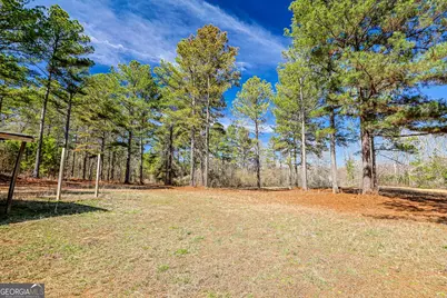 342 Norris Road, Barnesville, GA 30204 - Photo 34