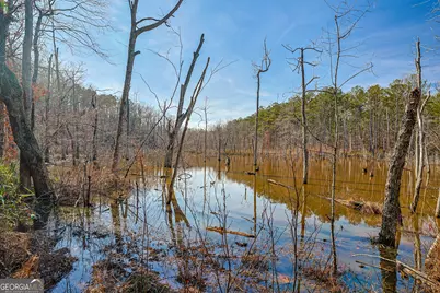 342 Norris Road, Barnesville, GA 30204 - Photo 16