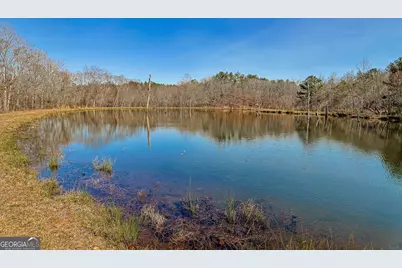 342 Norris Road, Barnesville, GA 30204 - Photo 40