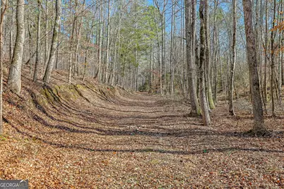 342 Norris Road, Barnesville, GA 30204 - Photo 20