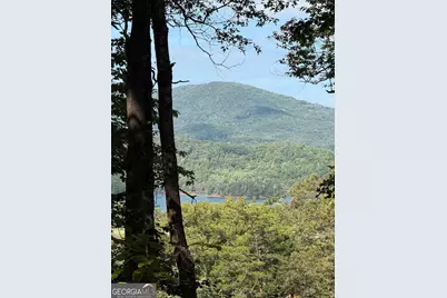 Lot 4 Whiskey Mountain Estates, Hiawassee, GA 30546 - Photo 10