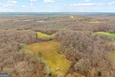 787 Parham Town Road, Bowman, GA 30624 - Photo 16