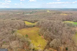 787 Parham Town Rd, Bowman, GA 30624 - Photo 16