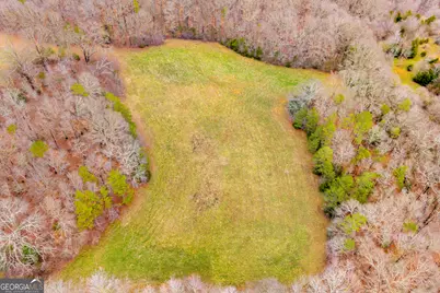 787 Parham Town Road, Bowman, GA 30624 - Photo 12