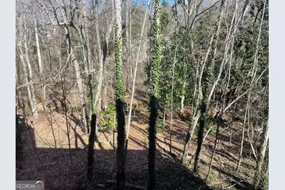 95 Mountain Overlook Drive, Cleveland, GA 30528 - Photo 4