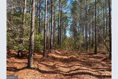 0 Old Dixie Hwy North, Newington, GA 30446 - Photo 1