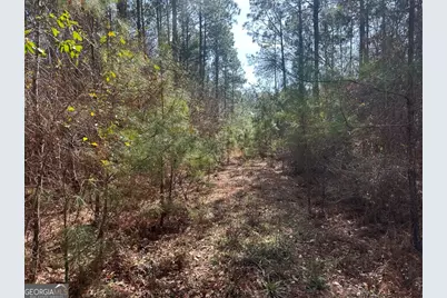 0 Old Dixie Hwy North, Newington, GA 30446 - Photo 4