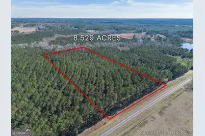 Lot 2 Ben Giddens Road, Eastman, GA 31023 - Photo 2