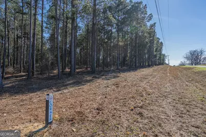 Lot 2 Ben Giddens Road, Eastman, GA 31023 - Photo 8