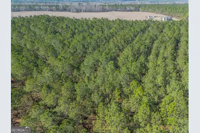 Lot 2 Ben Giddens Road, Eastman, GA 31023 - Photo 4