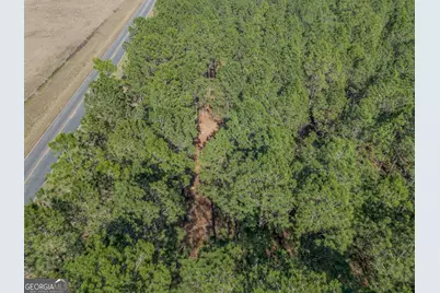 Lot 2 Ben Giddens Road, Eastman, GA 31023 - Photo 6
