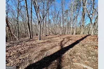 7 Ivy Hills Drive, Cleveland, GA 30528 - Photo 8