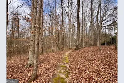 130 Emerald Lane, Fayetteville, GA 30214 - Photo 74