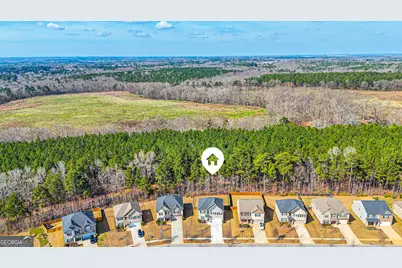 7663 Watson Circle, Locust Grove, GA 30248 - Photo 46