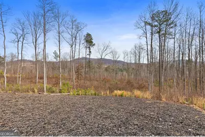 1281 Twisted Oak Road, Talking Rock, GA 30175 - Photo 24