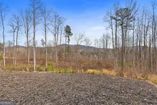 1281 Twisted Oak Rd, Talking Rock, GA 30175 - Photo 26