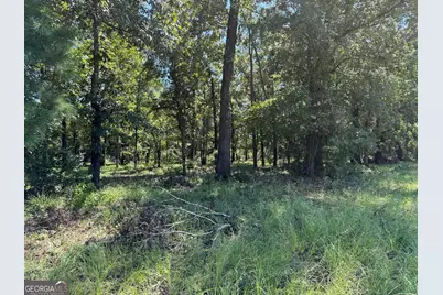 0 Sunbury Road #TRACT 6, Claxton, GA 30417 - Photo 4