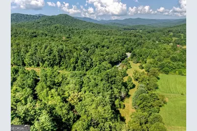 0 Hwy 2, Blue Ridge, GA 30513 - Photo 30