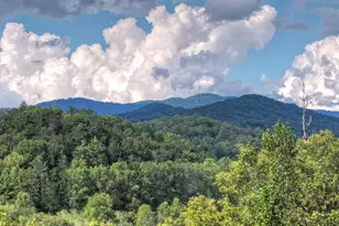 421 Salem Valley Rd, Mineral Bluff, GA 30559 - Photo 2