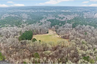 0 Hough Johnson Road, Haddock, GA 31033 - Photo 6