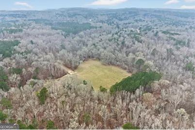 0 Hough Johnson Road, Haddock, GA 31033 - Photo 8