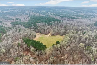 0 Hough Johnson Road, Haddock, GA 31033 - Photo 22