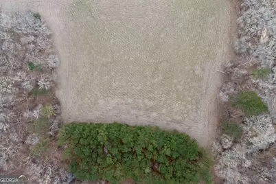 0 Hough Johnson Road, Haddock, GA 31033 - Photo 10