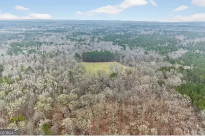 0 Hough Johnson Road, Haddock, GA 31033 - Photo 12