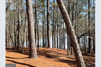 4 Grayson Point, Hogansville, GA 30230 - Photo 4