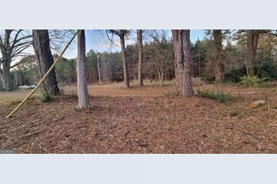 1054 Roscoe Road, Newnan, GA 30263 - Photo 6