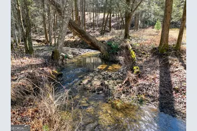 7233 Shakerag Road, Ellijay, GA 30540 - Photo 52