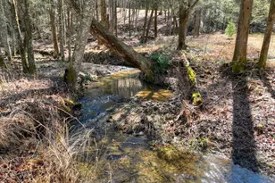 7233 Shakerag Rd, Ellijay, GA 30540 - Photo 52