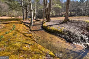 7233 Shakerag Rd, Ellijay, GA 30540 - Photo 116