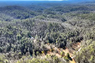 7233 Shakerag Rd, Ellijay, GA 30540 - Photo 4