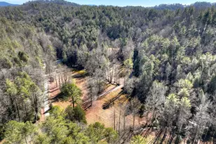 7233 Shakerag Rd, Ellijay, GA 30540 - Photo 96