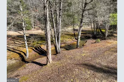 7233 Shakerag Road, Ellijay, GA 30540 - Photo 88