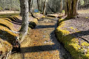 7233 Shakerag Rd, Ellijay, GA 30540 - Photo 62