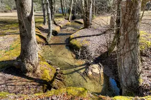 7233 Shakerag Rd, Ellijay, GA 30540 - Photo 92