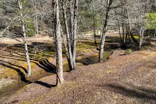 7233 Shakerag Rd, Ellijay, GA 30540 - Photo 54