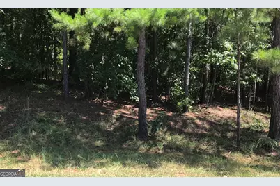 0 Lot 204 Jamesway Drive, Sparta, GA 31087 - Photo 4