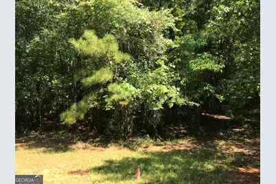 0 Lot 204 Jamesway Drive, Sparta, GA 31087 - Photo 8