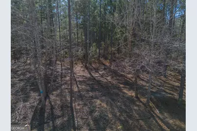 Lot 5 Golf Course Road, Eastman, GA 31023 - Photo 8