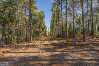 Lot 5 Golf Course Road, Eastman, GA 31023 - Photo 10