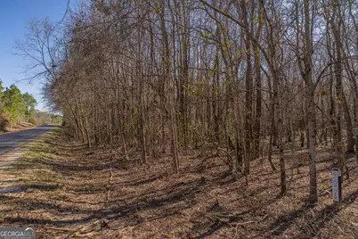 Lot 6 Golf Course Road, Eastman, GA 31023 - Photo 6