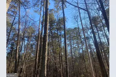 0 Corinth Five Points Rd, Buchanan, GA 30113 - Photo 1