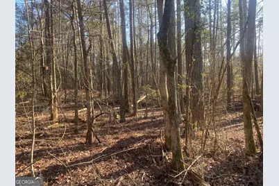 0 Corinth Five Points Rd, Buchanan, GA 30113 - Photo 2